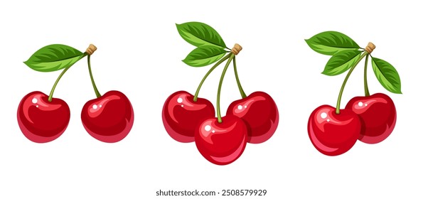 Cherry. Bunches of cherry berries isolated on a white background. Set of vector illustrations. Hand-drawn illustration, not AI