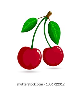 Cherry. Cherries on a branch with leaves, Juicy fruit vector illustration, isolated on white background. Vegetarian organic food, vector Flat design