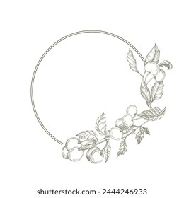 Cherry circle frame. Hand drawn round line border, leaves and flowers, wedding invitation and cards, logo design and posters template. Elegant minimal style floral vector isolated 