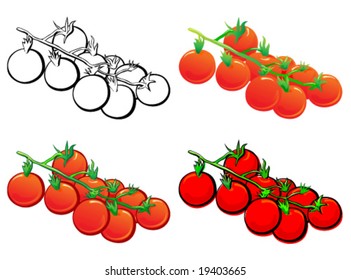 Cherry (cocktail) Tomato