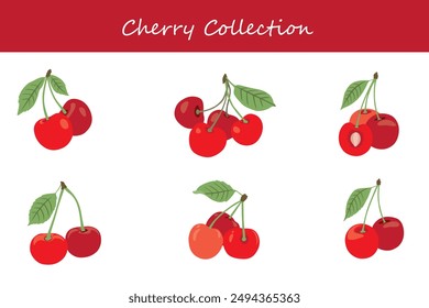 cherry collection. cherry in different poses. Vector illustration.