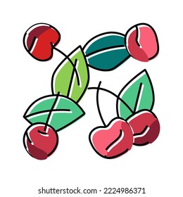 cherry composition color icon vector. cherry composition sign. isolated symbol illustration