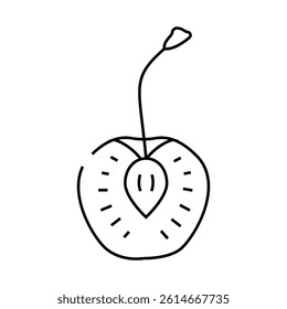 cherry cut line icon vector. cherry cut sign. isolated contour symbol black illustration