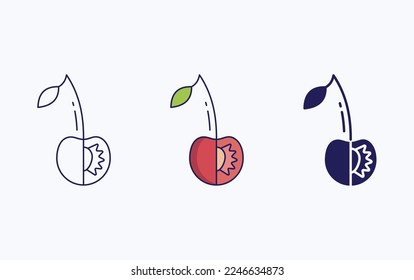 Cherry cut and sliced vector icon