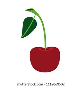 Cherry delicious fruit