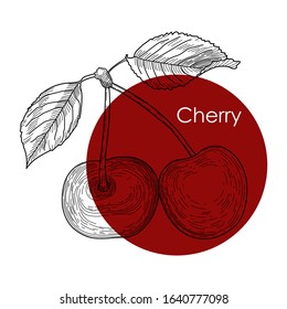 Cherry design template. Engraved cherry. Vector illustration for label, poster, baner, packaging or other