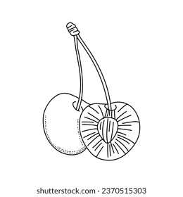 Ilustración del doodle de cerezo. Icono de línea de berry de corte aislado en fondo blanco
