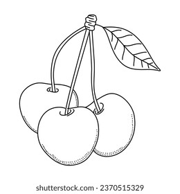 Ilustración del doodle de cerezo. Icono de línea de berry de corte aislado en fondo blanco