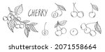 Cherry doodle vector stock illustration. One cherry berry, a cut cherry with a pit, two berries on a branch, a branch with cherries and leaves. Hand-drawn image. Black outline on a white background.