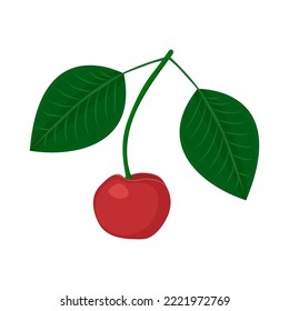 Cherry drawing on white background, vector illustration