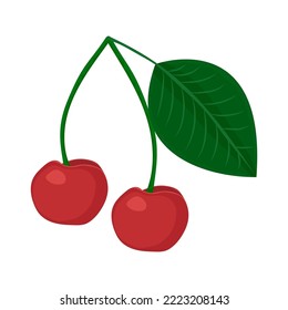 Cherry drawing on white background, vector illustration