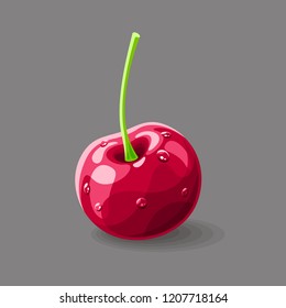 Cherry with drops of water on grey. Vector illustration. No gradients