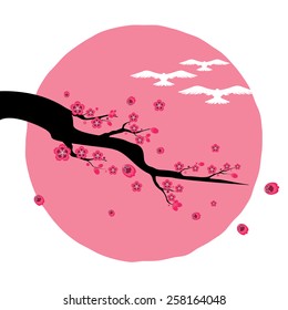 Cherry Flower Blossom