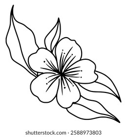 Cherry flower blossom, botanical art. Spring almond, sakura, branch, hand draw doodle line art illustration. black art, isolated on white background. Realistic floral bloom sketch.