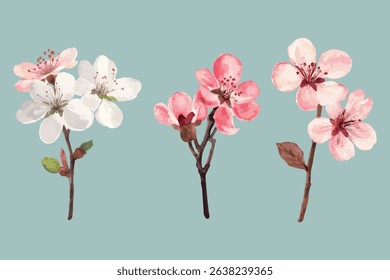  cherry flower branch watercolor vector illustration pattern isolated white background. perfect for wedding invitation card