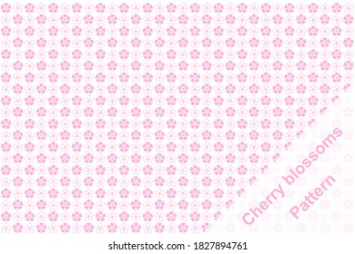 Cherry flower pattern wall paper. Graphic material based on cherry blossom pattern.