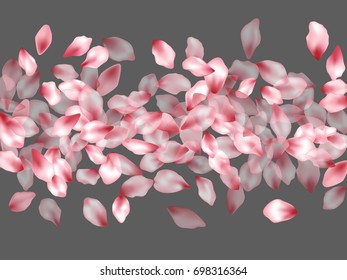 Cherry flower petals flying on grey vector background. Spring blossom elements isolates on grey. Floral confetti blossom petals windy pattern. Flower parts romantic background graphic design.