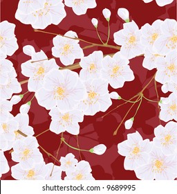 Cherry flower. Seamless vector background.