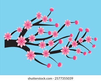 Cherry flower in the spring