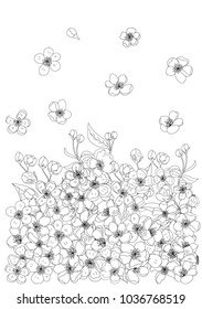 Cherry flower spring season vector illustration background.Poster design Sakura flower for printing on paper.Beautiful line art Peach blossom isolate background.