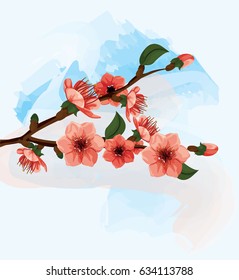 Cherry flower vector