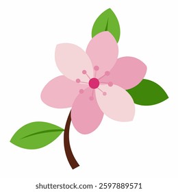 Cherry flower vector art on white background