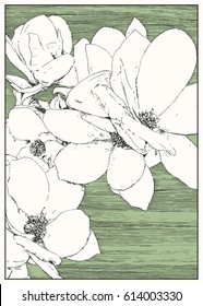 Cherry flowers blossom. Black and white dashed style sketch, line art, drawing with pen and ink. Retro vintage picture.