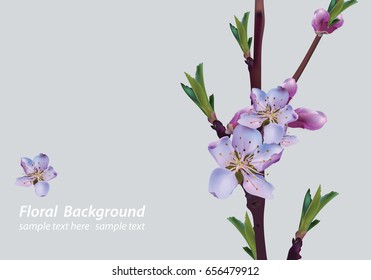 Cherry flowers blossom card. Spring Summer delicate watercolor flowers Wedding Invitation. Minimalistic style Place for text. Vector illustration