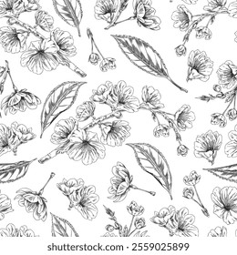 Cherry flowers, blossom plant engraved sketch vector seamless pattern. Spring Sakura flower. Hand drawn blooming floral background design ink style. Summer garden bud plant. Beautiful Hanami