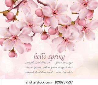 Cherry flowers branch spring card background Vector