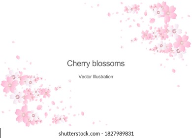 Cherry flowers frame design. Graphic material based on cherry blossom pattern.