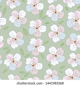 Cherry flowers with leaves background. Vector illustration.