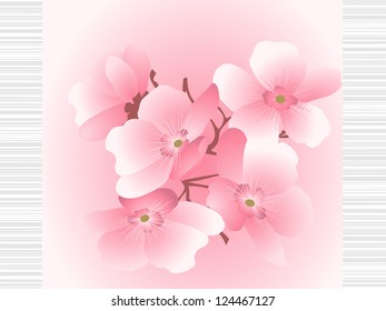 cherry flowers on a striped background