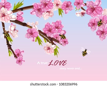 Cherry flowers Vector. Spring card background decor