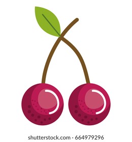 cherry fresh fruit icon