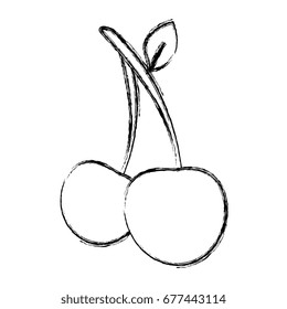 cherry fresh fruit icon