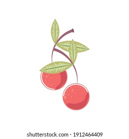cherry fresh fruit icon isolated style vector illustration