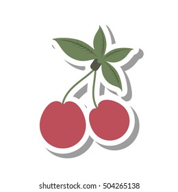 cherry fresh fruit isolated icon vector illustration design