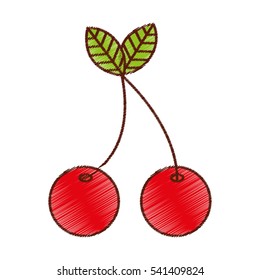 cherry fresh fruit isolated icon vector illustration design