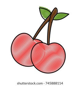 cherry fresh isolated icon