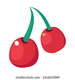cherry fruit fresh vector ilustration