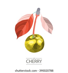 Cherry. Fruit in a geometric style