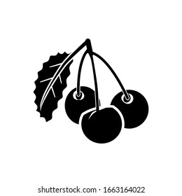 Cherry fruit icon. High vitamins and minerals, especially potassium are associated with a reduced risk of heart disease and stroke