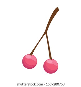 cherry fruit icon over white background, vector illustration