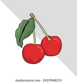 cherry fruit illustration 2d flat graphic