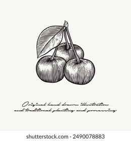 ilustración de fruta de cereza en estilo de grabado