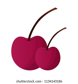 cherry fruit isolated icon