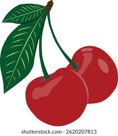 cherry fruit png, cherry fruit image, cherry fruit background, cherry from the branch