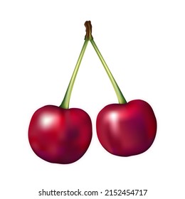 Cherry Fruit Realistic Vector Illustration Isolated on White Background Design