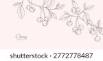 Cherry fruit. Summer background with berry and brunch. Detailed hand drawn ink floral illustration for invitation, wallpaper art or save the date card